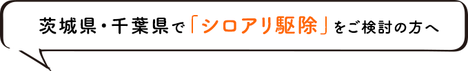茨城県・千葉県で「シロアリ駆除」をご検討の方へ